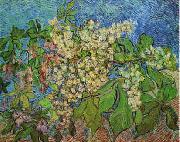 Vincent Van Gogh White Flowers with Blue Background China oil painting reproduction